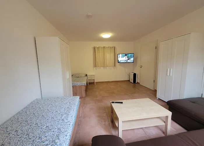 公寓 Chen Griesstatt